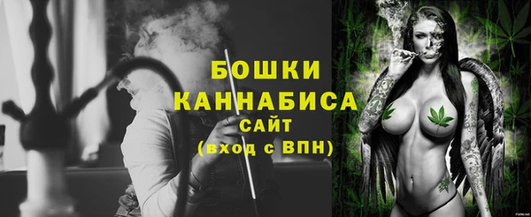 стаф Бердск