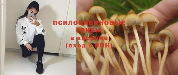 соль ск Майский