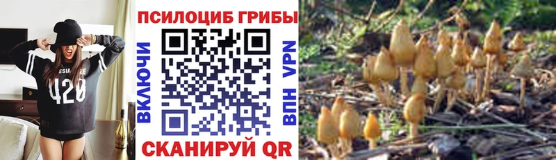 Галлюциногенные грибы Psilocybe  даркнет сайт  кракен сайт  Сухиничи 
